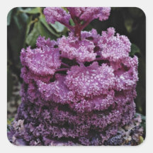 Lila Pflanzen-Blumen Sticker