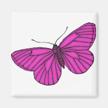 Lila Schmetterling Kühlschrankmagnet
