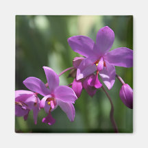 Lila tropischer Blumen-Magnet Kühlschrankmagnet