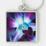 Lila u. blaue Dendrobium-Orchidee kundengebundene  Schlüsselanhänger