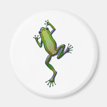 Lila und grüner Baum-Frosch Magnete