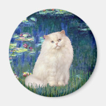 Lilien 5 - Weiße persische Katze Magnete