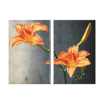 Lilien-Leinwand Galerie Faltleinwand