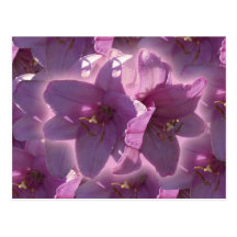 Lilien-Postkarte