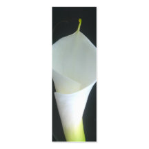 Lilien-Visitenkarte