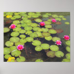 Lilienauflage-Leinwanddruck Plakat