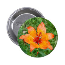 Lilly im Gras-Knopf Anstecknadelbuttons