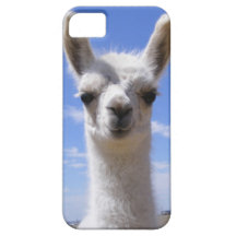 Lily Llama Cria iPhone 5 Cover