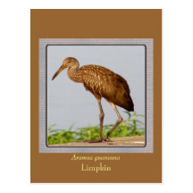 LImpkin Postkarte