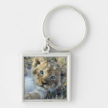 Lion Baby Schlüsselband