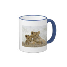 Lion Cubs Kaffee Tasse