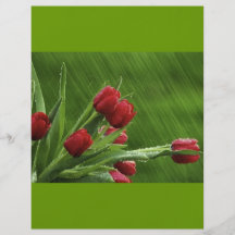 Little_Rain_jpeg Custom Flyer