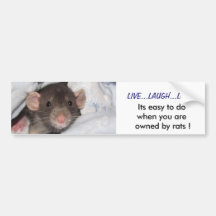 Live, Lachen, Liebe-Stoßaufkleber Auto Sticker