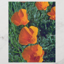 Lodernde Orange Flyerdruck