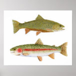 Lokale Lieblinge Bögen u. Brookies Posterdruck