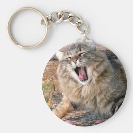 LOL Maine Waschbär Schlüsselanhänger