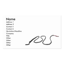 LongWhip103110, Name, Adresse 1, Adresse 2, Betrug Visitenkartenvorlage
