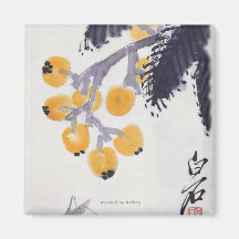 Loquats und eine Heuschrecke Magnete