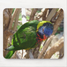 Lorakeet Mousepad