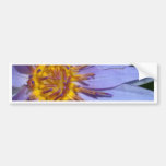 Lotos-Blume Autosticker
