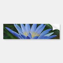 Lotos-Blume und -bedeutung Autosticker