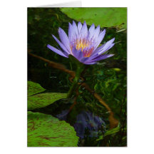 Lotus Karten