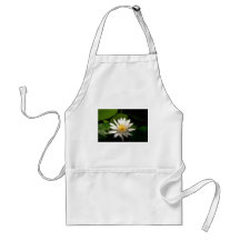 Lotus Schürzen