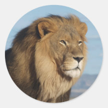 Löwe Aufkleber