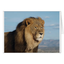 Löwe Karten