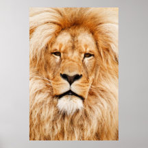 Löwe-Plakat