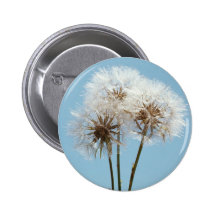 Löwenzahn-Uhren Button
