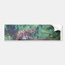 Luchs Auto Sticker