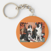 Luke Winnie und Lando - Border-Collie Foto-05 Schlüsselbänder