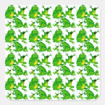Lustige Frosch-Gefühl-wütende neugierige erschrock Quadratsticker