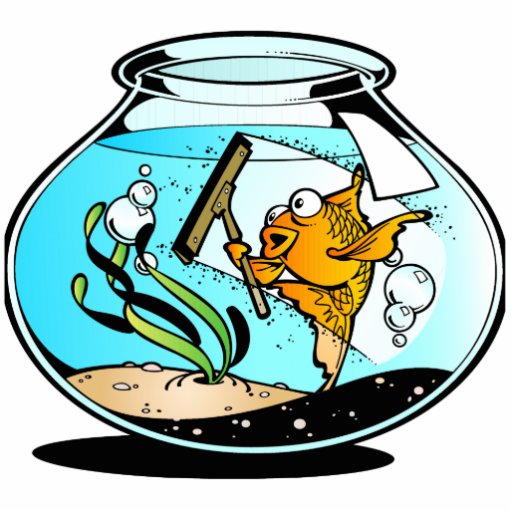 Lustige Frühjahrsputz-Fische Foto Ausschnitt
