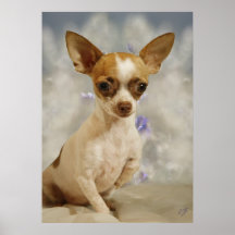 Lustiger erster Schritt des Chihuahua-Welpen-(Crem Posterdruck