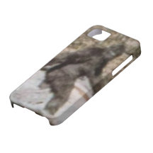 Lustiger Fall Bigfoots Sasquatch iPhone 5 Schutzhülle