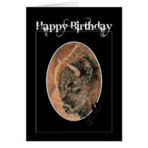 Lustiger Geburtstag, Bison, Büffel-Tiere Karte