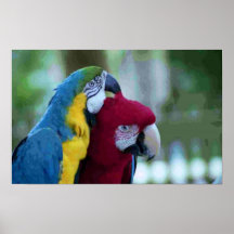 Macaws Plakatdrucke