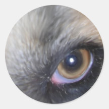 maggies eye aufkleber
