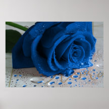 Magische blaue Rose Plakatdrucke