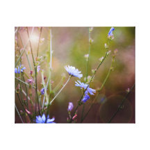Magische Garten-Wildblumen Leinwand Drucke