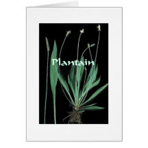 Magische Pflanzen - Bananen-Karte