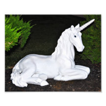Magisches Einhorn Photographien