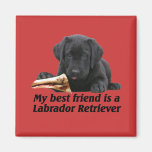 Magnet "Labrador retriever " Kühlschrankmagnete