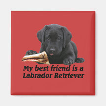 Magnet "Labrador retriever " Kühlschrankmagnete