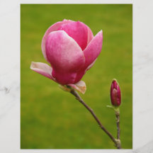 Magnolie Individuelle Flyer