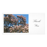 Magnolien-Baum in der Blüte - danke Photo Grußkarte