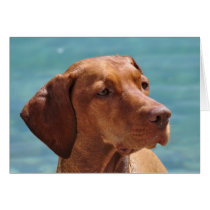 Magyar Vizsla Hund karten