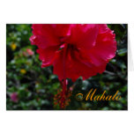 Mahalo dunkle rosa Hibiskuskarte